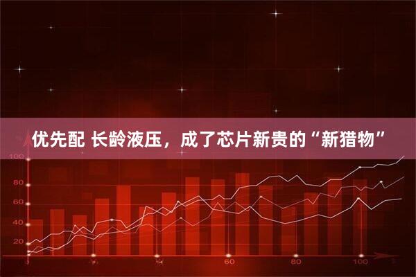 优先配 长龄液压，成了芯片新贵的“新猎物”