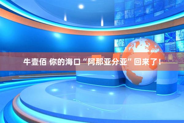 牛壹佰 你的海口“阿那亚分亚”回来了！