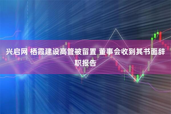 兴启网 栖霞建设高管被留置 董事会收到其书面辞职报告